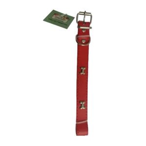 Collar perrito diferentes presentaciones thierny